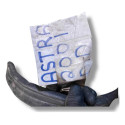 Borracha Porta Dianteira Direita Chevrolet Astra 2001 80864