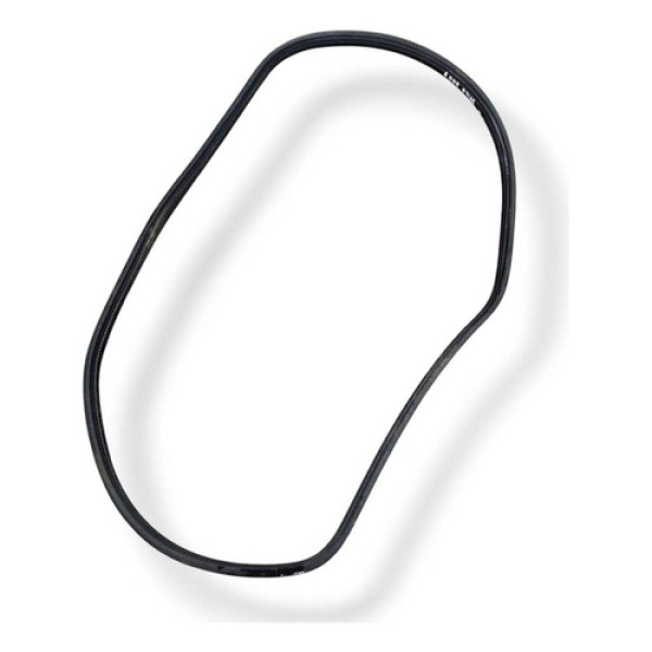 Borracha Porta Traseira Esquerda Fiat Stilo 2007 2008 2009