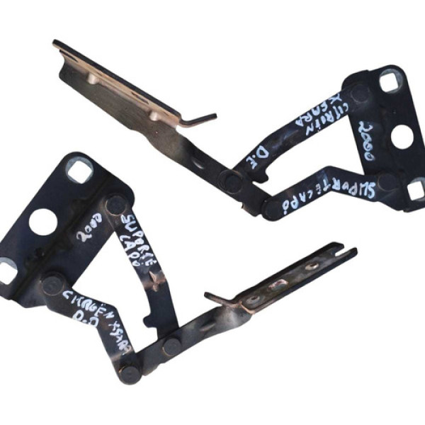 Par Dobradiça Capô Citroen Xsara 2.0 1999 2000 2001 