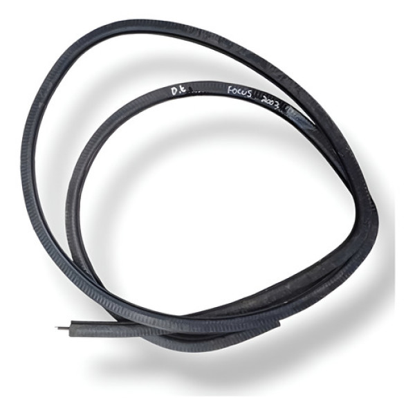 Borracha Porta Traseira Esquerda Ford Focus 2002/2003/2009 Preto