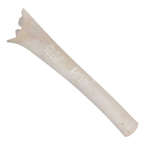 Acabamento Coluna Parabrisa Direito Fiat Palio 08 714247000