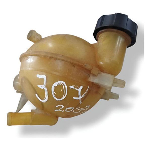 Reservatório Água Radiador Peugeot 307 Sw 2.0 2007 2008 2009