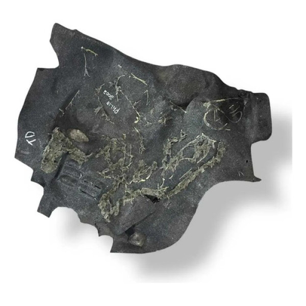 Forro Lateral Direita Porta Malas  Fiat Palio 2001 2002 2003