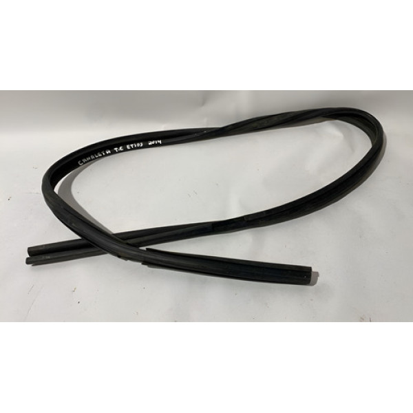 Borracha Canaleta Traseira Esquerda Toyota Etios 2014 Água