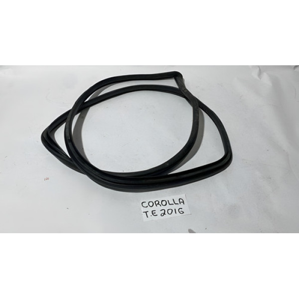 Borracha Porta Traseira Esquerda Toyota Corolla Xei 2.0 2016 Água