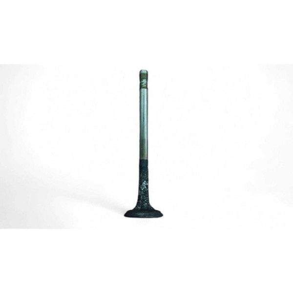 Válvula De Escape Vw Gol G4 2007 Ea111 (unidade) Original