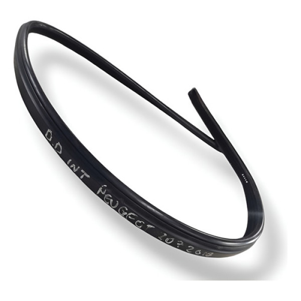 Borracha Canaleta Vidro Dianteiro Direito 207 Escapade 2009 Preto