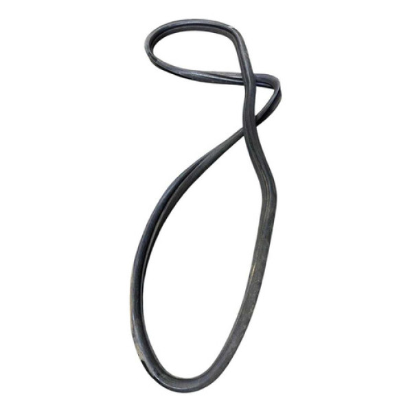 Borracha Porta Traseira Esquerda Fiat Palio 2001 2002 2008