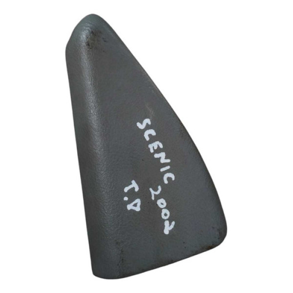 Moldura Interna Porta Traseira Direita Scenic 02 7700836265