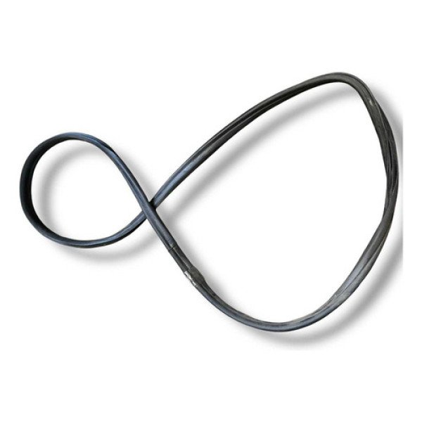 Borracha Porta Traseira Esquerda Fiat Punto 2014 2015 2016