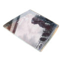 Vidro Fixo Porta Traseira Esquerda Gm Omega 1992 A 1998