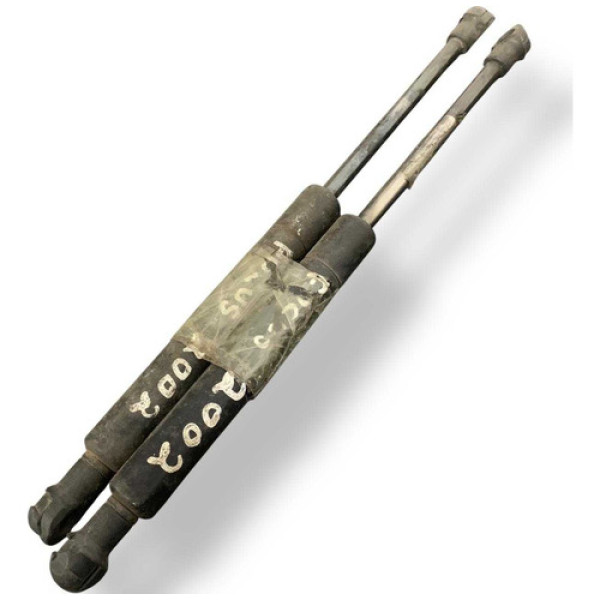 Par Amortecedor Tampa Traseira Ford Focus 2002 2004 2005