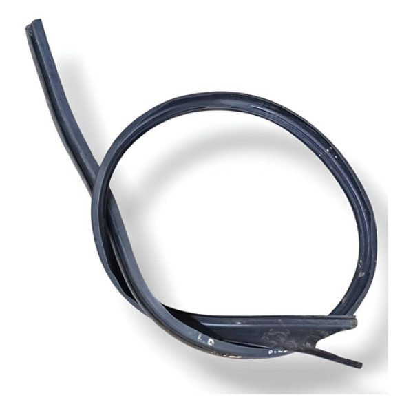 Borracha Pingadeira Teto Direito Volkswagen Golf 2.0  2000 Preto