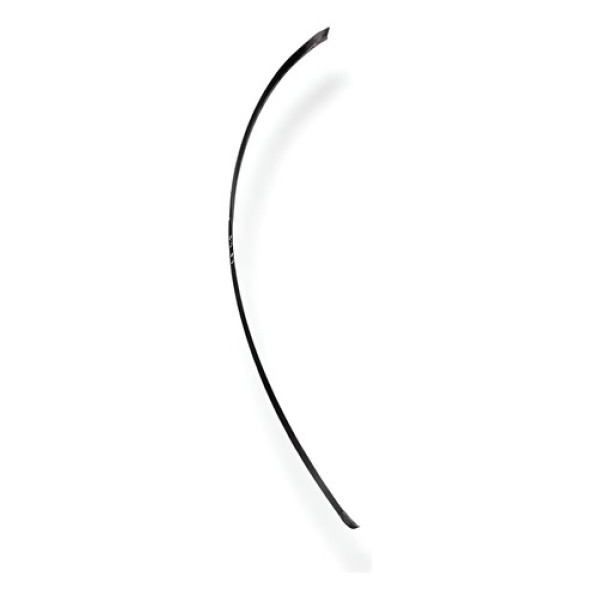 Friso Janela  Dianteiro Esquerdo Renault Scenic 2005 2006 Preto