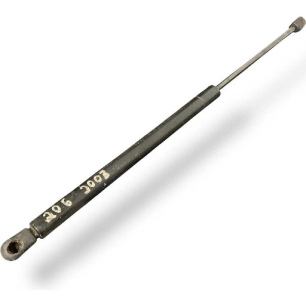 Amortecedor Tampa Traseira Peugeot 206 2002 2003 2004 2005